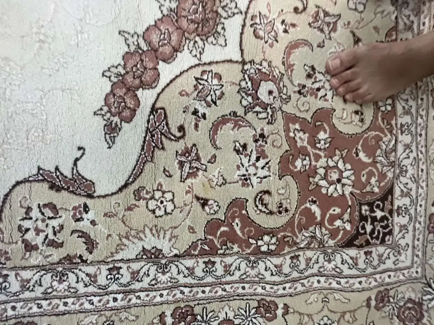 فروش فرش و گلیم فرش 6و 9متری|فرش|گرگان, |دیوار