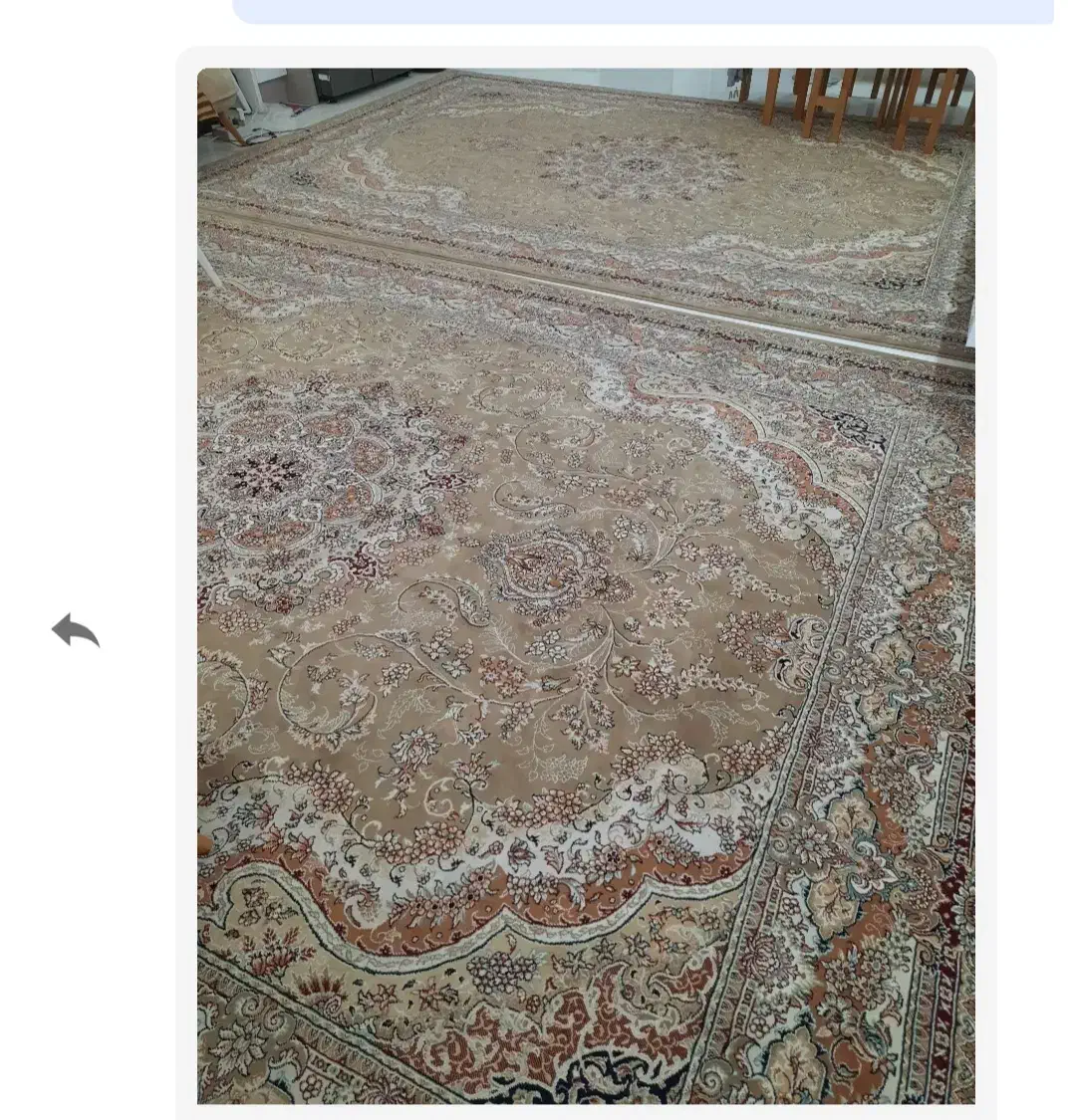 فرش ۱۲متری جفت گردویی|فرش|شاهرود, |دیوار