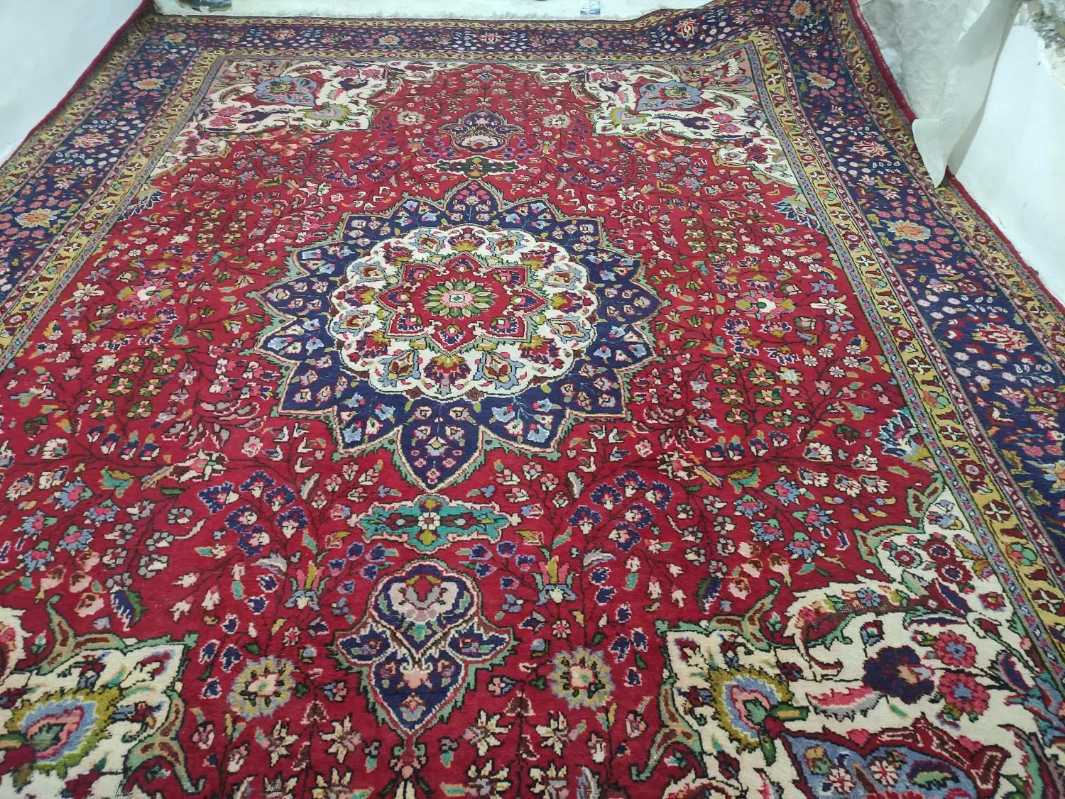 فرش طبیعی 12متری|فرش|ارومیه, |دیوار