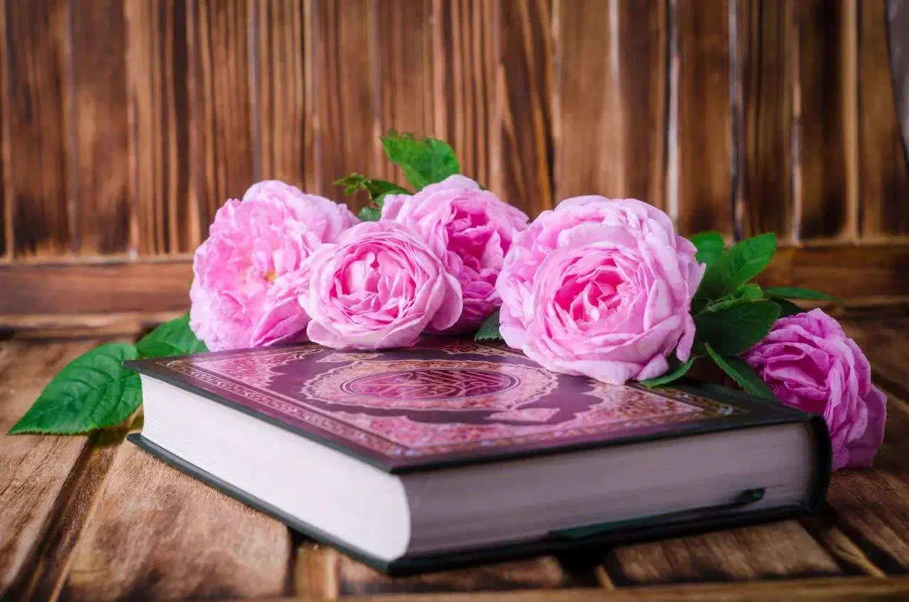 تدریس خصوصی وتضمینی درس عربی|خدمات آموزشی|شیراز, شهرک گلستان|دیوار