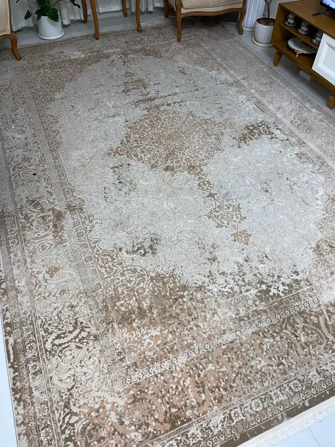 فرش ۹ متری|فرش|گرمدره, |دیوار