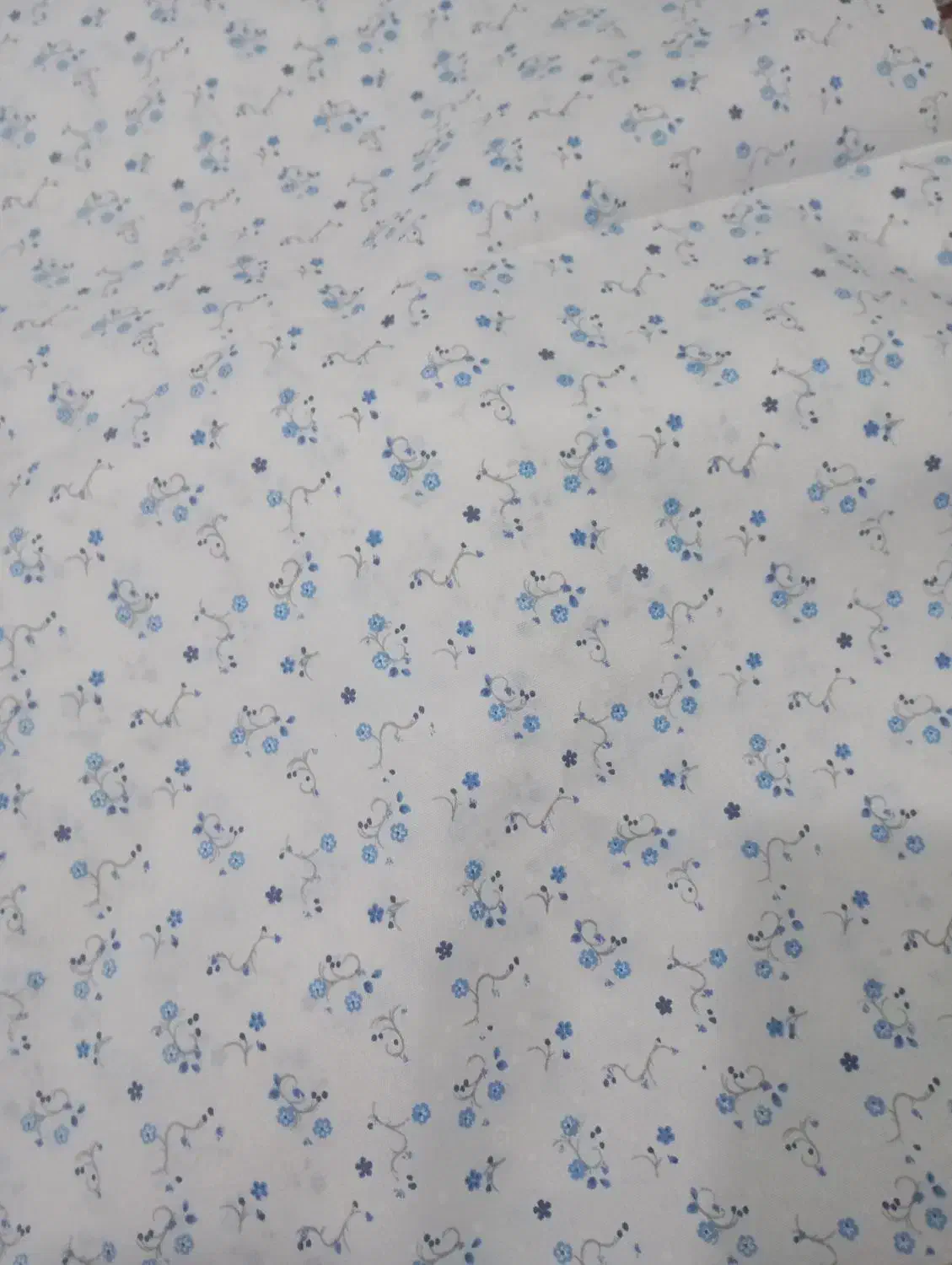 چادر نماز|لباس|مشهد, فاطمیه|دیوار