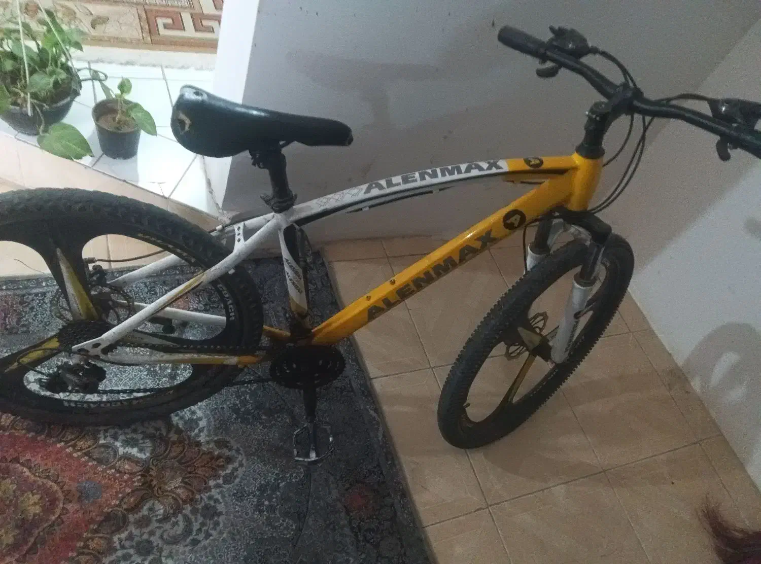 دوچرخه ۲۶|دوچرخه، اسکیت، اسکوتر|بم, |دیوار