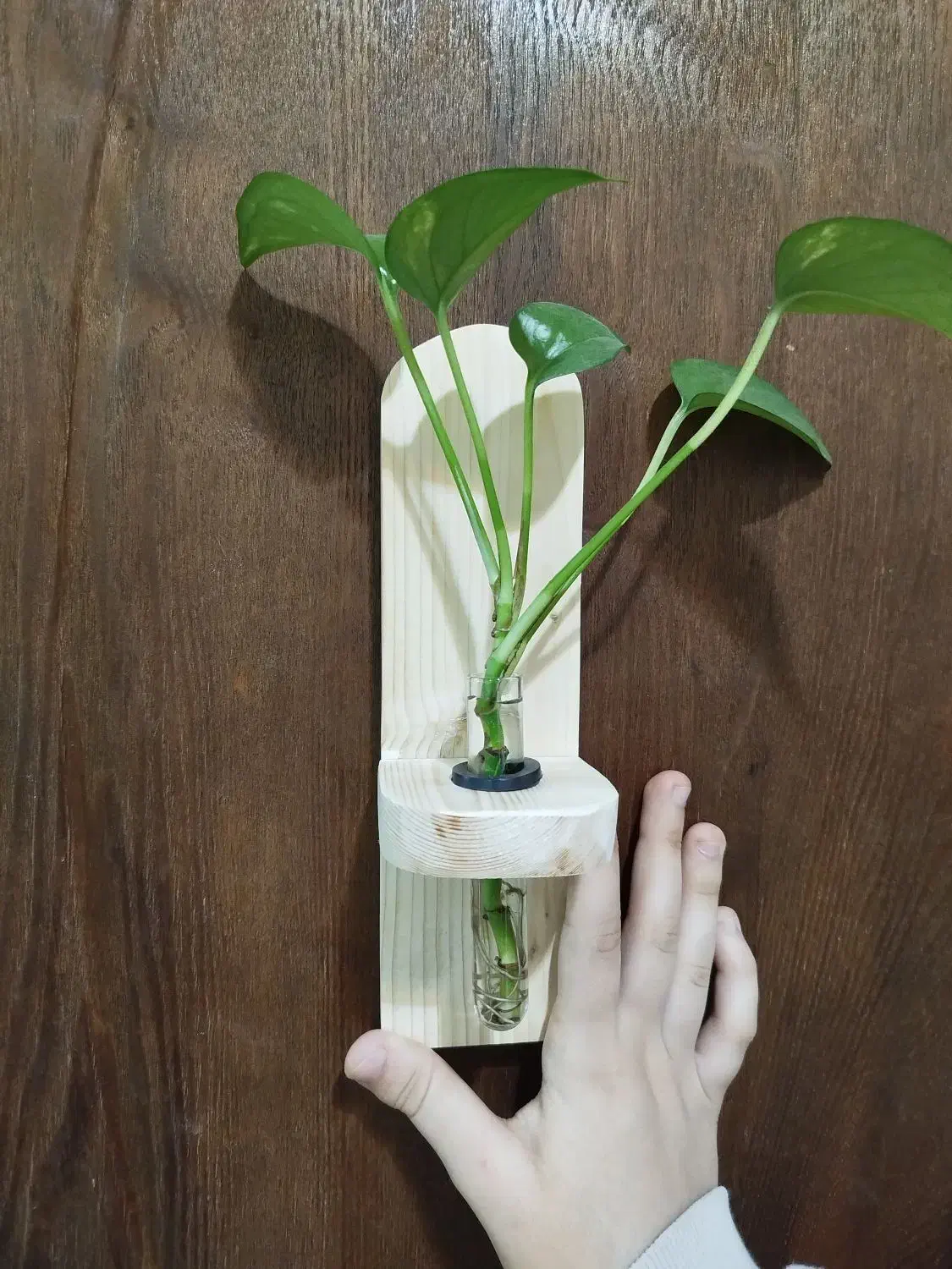 گلدان شیشه‌ای|گل مصنوعی|قم, ولیعصر|دیوار