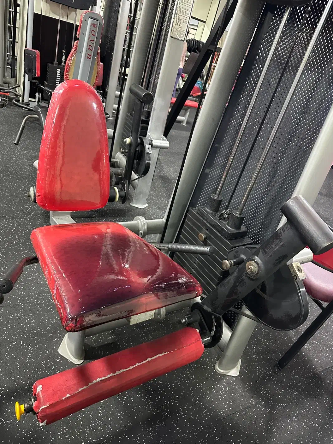 دستگاه های ورزشی(جلو پا دستگاه،اسمیت،اسکی فضایی)|تجهیزات ورزشی|اندیشه, اندیشه فاز ۴|دیوار