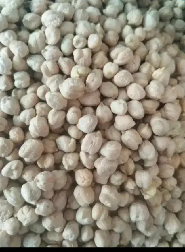 نخودسفید|خوردنی و آشامیدنی|دهگلان, |دیوار