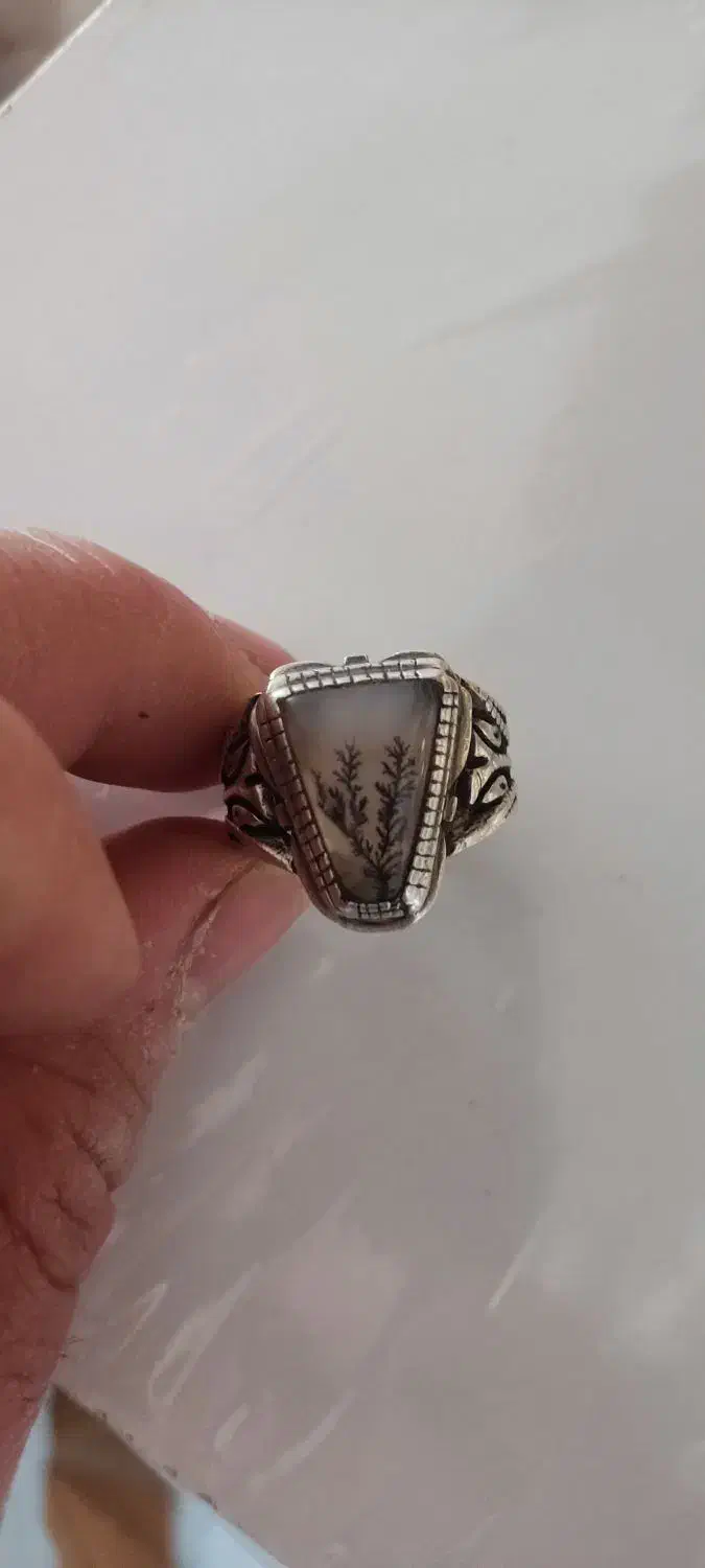 شجر قائن بسیار زیبا|جواهرات|ملایر, |دیوار