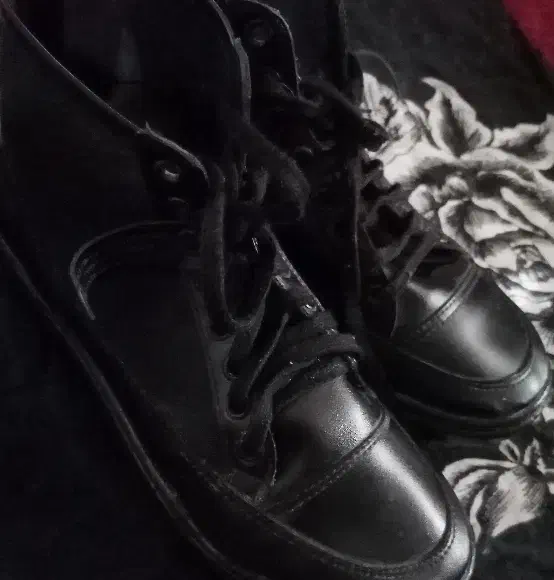 سایز 38|کیف، کفش، کمربند|کرمان, |دیوار