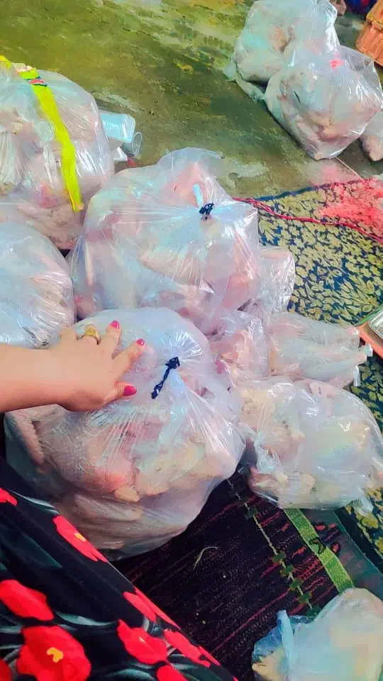 مرغ محلی اصل و دورگه|حیوانات مزرعه|کهریزک, |دیوار