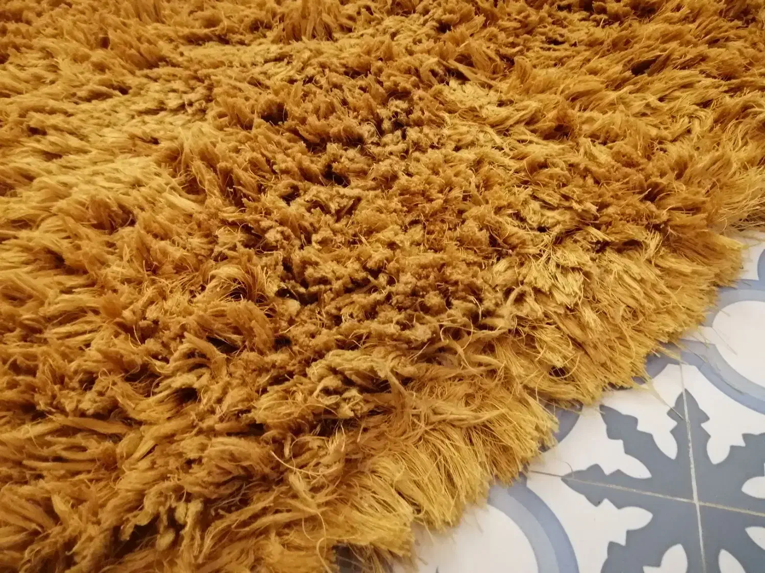 فرش 4 متری شگی، شسته|فرش|تهران, هروی|دیوار