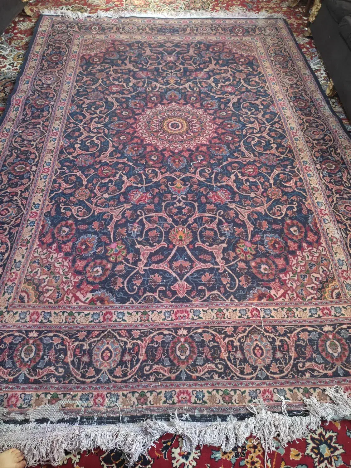 فرش دستباف دست دو|فرش|بیرجند, |دیوار