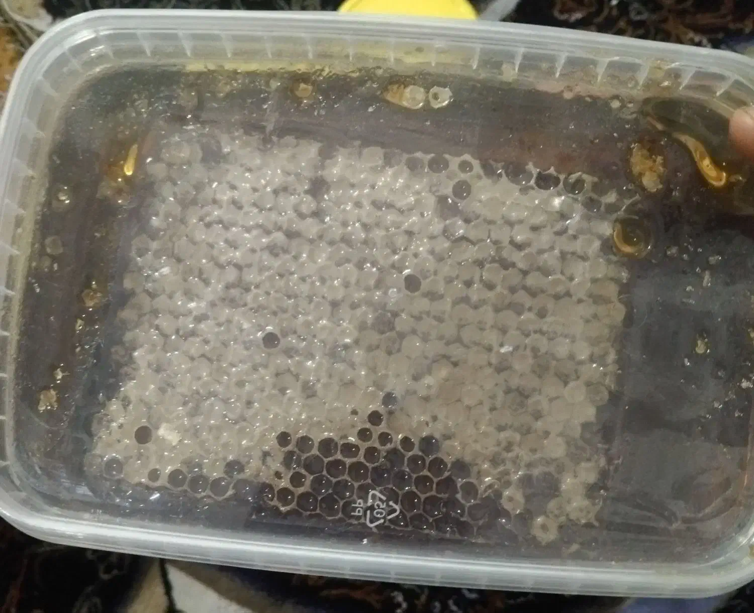 عسل طبیعی|خوردنی و آشامیدنی|قرچک, میرزائی شمالی|دیوار