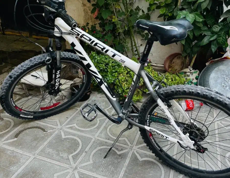 دوچرخه ویوا|دوچرخه، اسکیت، اسکوتر|نیریز, |دیوار