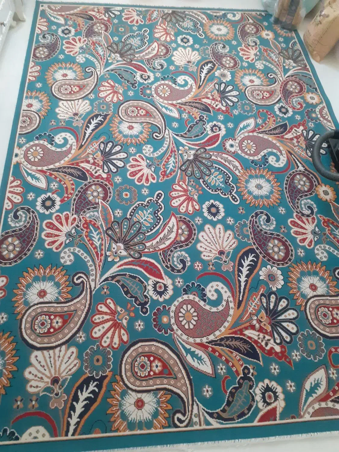 فرش|فرش|تربت‌حیدریه, شهرک ولیعصر|دیوار