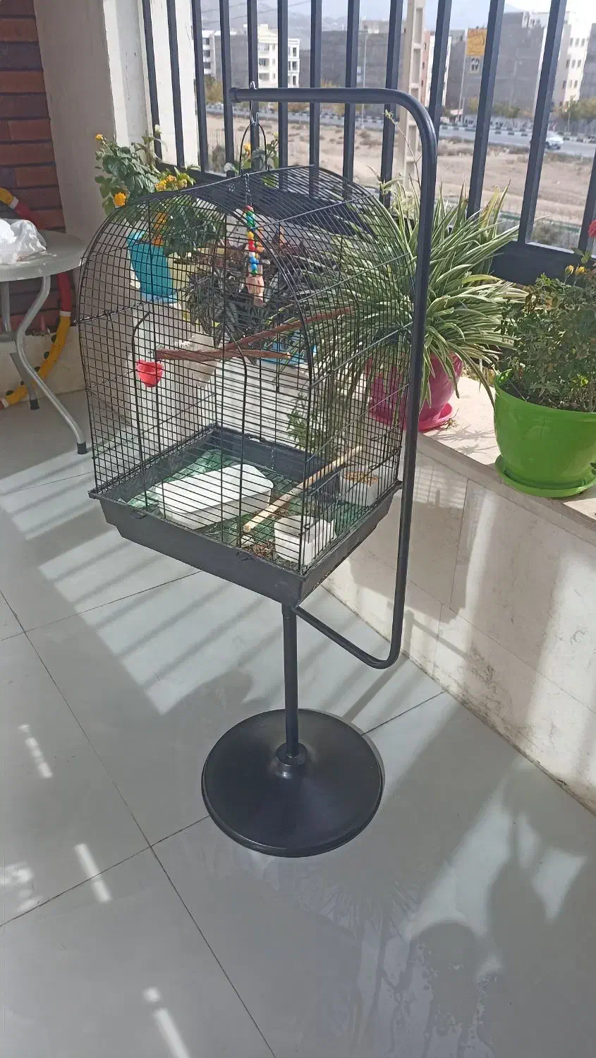 قفس پایه دار|لوازم جانبی حیوانات|پردیس, فاز ۴|دیوار