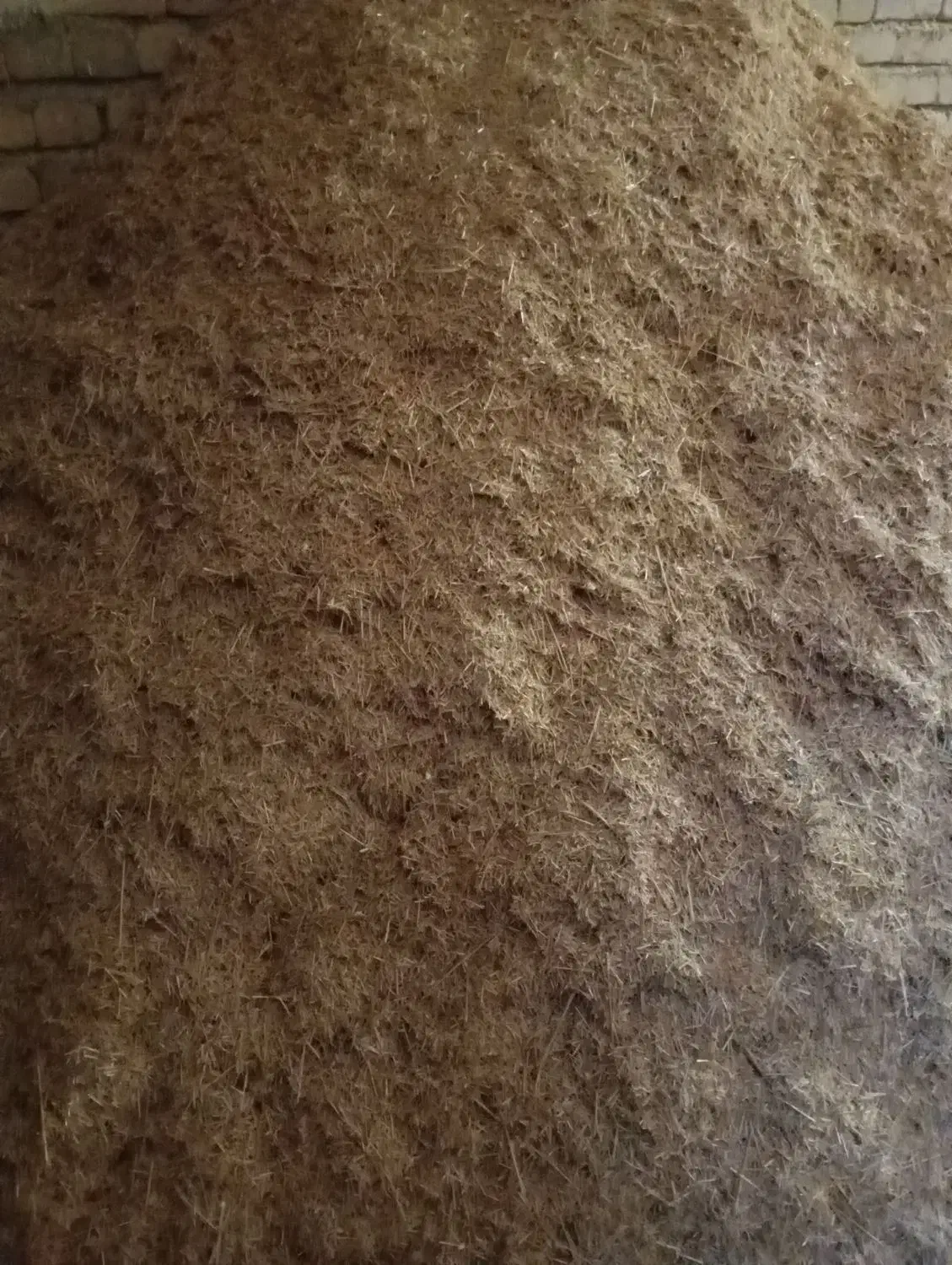 کاه گندم|لوازم جانبی حیوانات|اشترینان, |دیوار