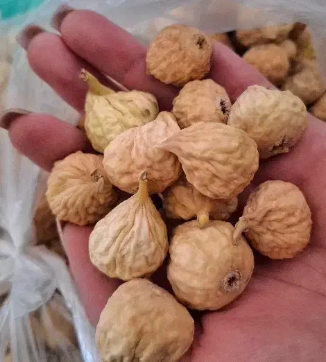 انجیر استهبان|خوردنی و آشامیدنی|شیراز, داریون|دیوار