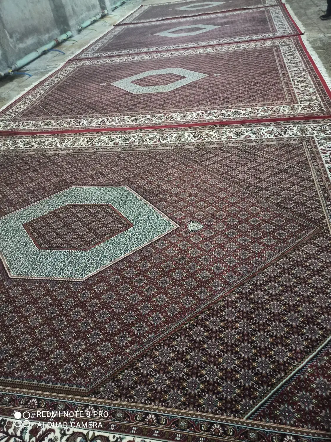 فرش ریزه ماهی|فرش|زنجان, |دیوار