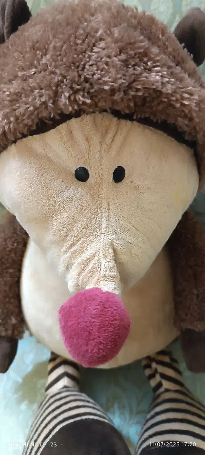 جوجه تیغی (عروسک خارجی)|اسباب‌‌بازی|مشهد, تربیت (صدف)|دیوار