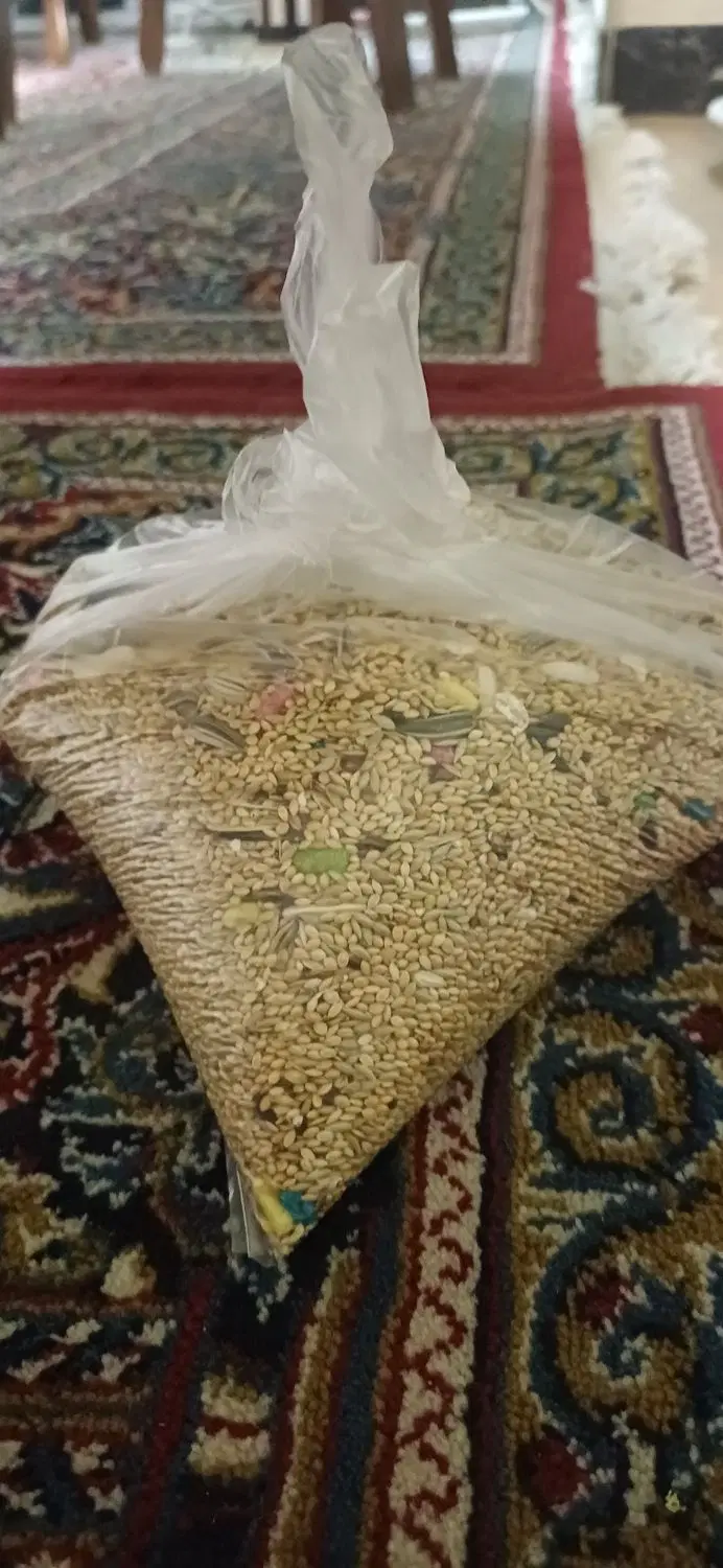 دانه|لوازم جانبی حیوانات|کرمان, |دیوار