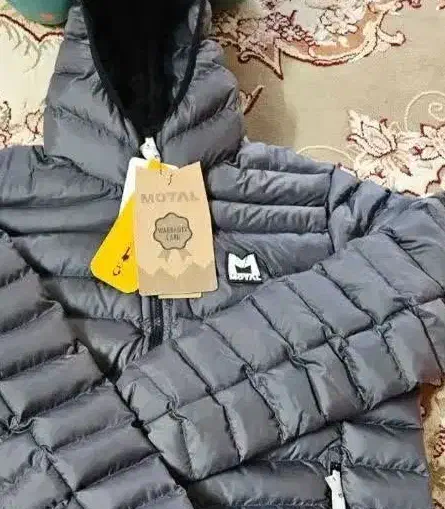 کاپشن پر سبک کوهنوردی مارک موتال|لباس|نیشابور, هفده شهریور|دیوار