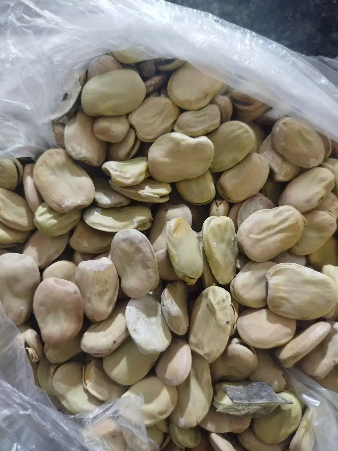 باقله|خوردنی و آشامیدنی|دینور, |دیوار