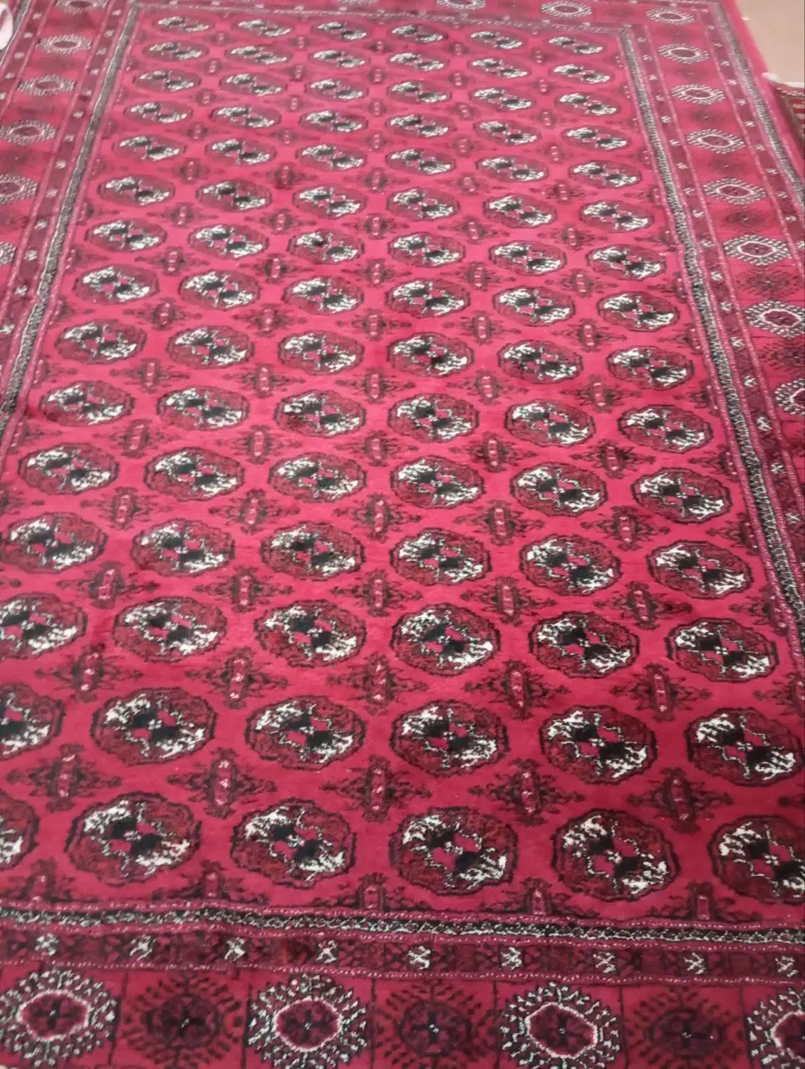 فرش دستبافت|فرش|گنبد کاووس, |دیوار