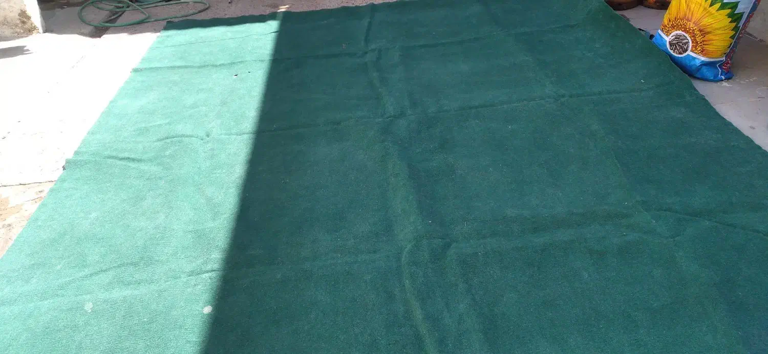 ...|موکت|آبادان, |دیوار