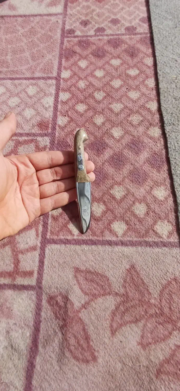 چاقو معاوضه با انگشتر|کوهنوردی و کمپینگ|قم, قلعه کامکار|دیوار