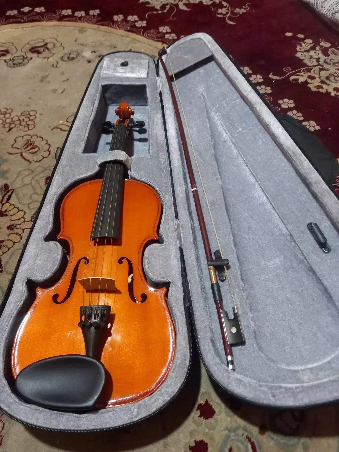 ویلون نو نو اصلا استفاده نشده|ویولن|قزوین, |دیوار