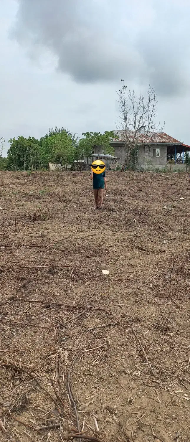 زمین باغی ویو ابدی|فروش زمین و ملک کلنگی|رشت, استقامت ۲|دیوار