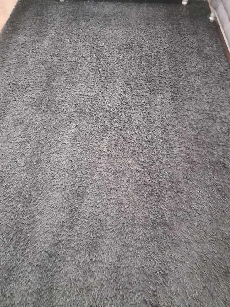 فروش فرش ماشینی 6 متری|فرش|رشت, کوی عرفان|دیوار