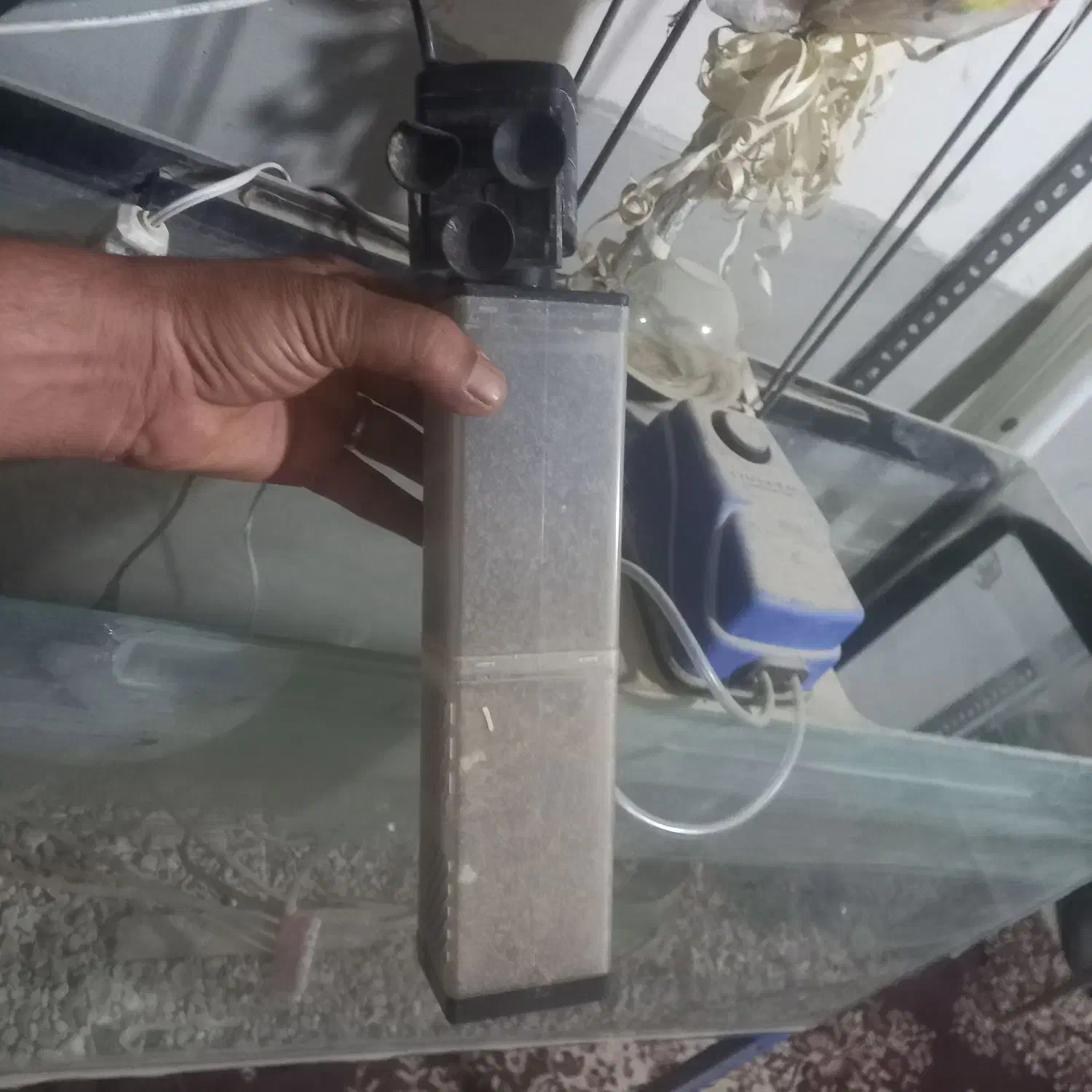 یک عدد آکواریوم باتمام مخلفات بفروش می رسد|ماهی|جزنیک, |دیوار