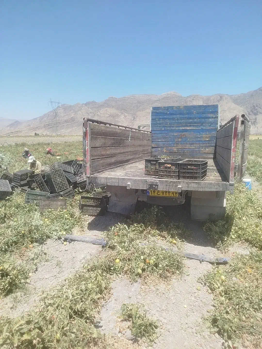 الوندهشت نیم|خودرو سنگین|مرودشت, ده بید|دیوار