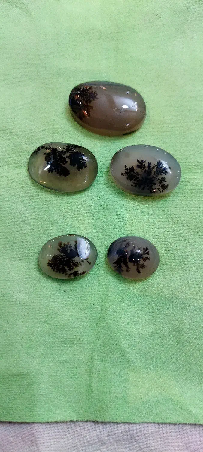 سنگ شجر|کلکسیون اشیاء عتیقه|تهران, جوادیه تهرانپارس|دیوار