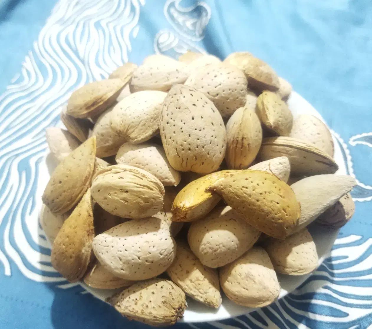 بادام شیرین درجه یک درشت وپرمغزباضمانت|خوردنی و آشامیدنی|قهستان, |دیوار