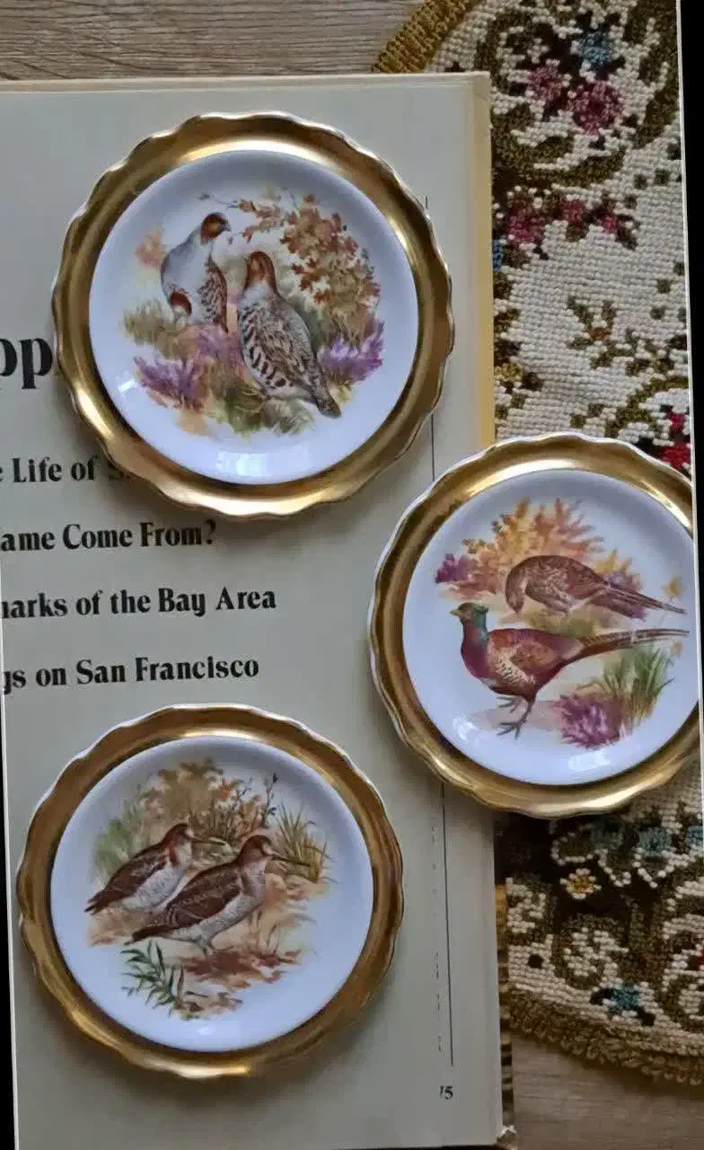 دیوارکوب انگلیسی|کلکسیون اشیاء عتیقه|قم, سالاریه|دیوار