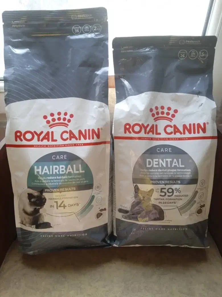 غذا خشک گربه رویال کنین|لوازم جانبی حیوانات|تهران, شهرک صدرا|دیوار
