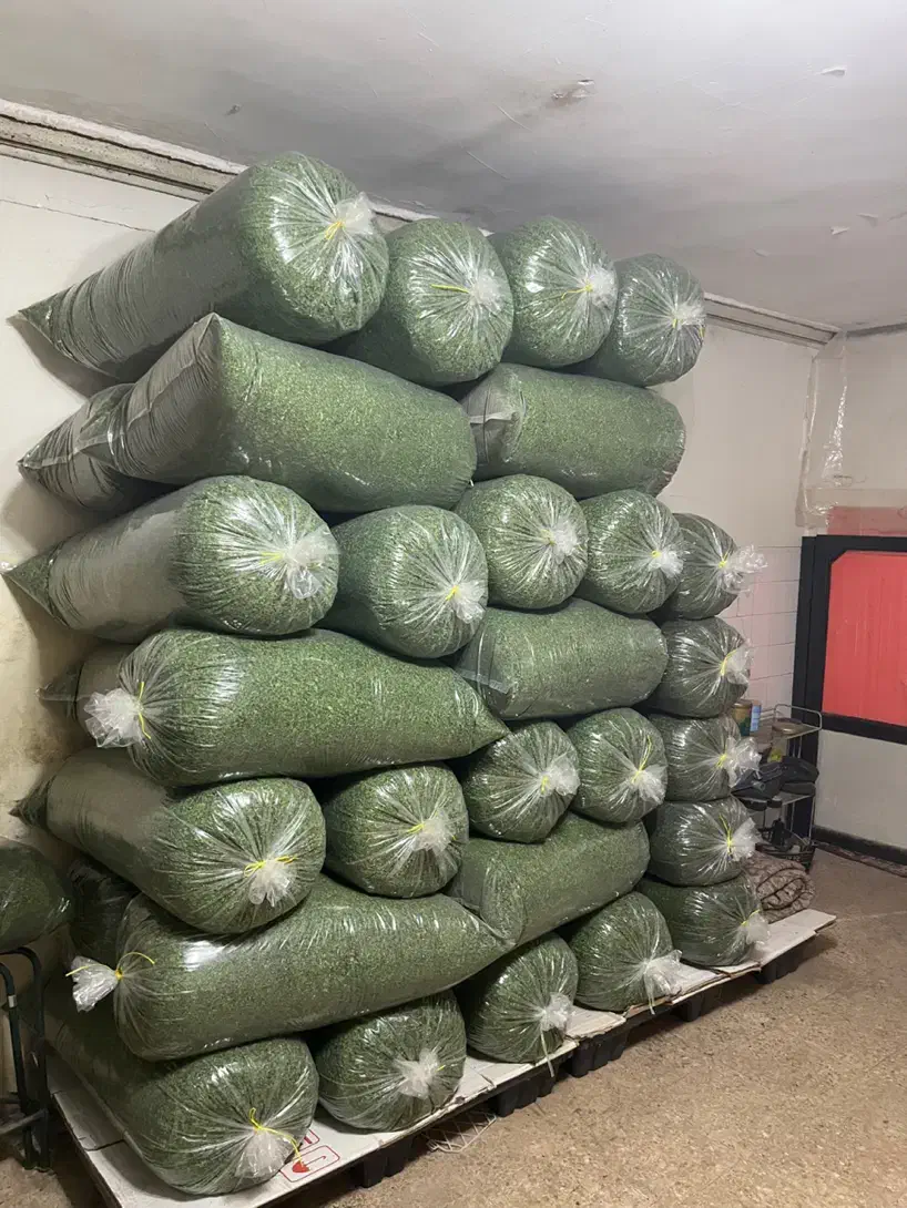 شوید خشک|خوردنی و آشامیدنی|دزفول, |دیوار