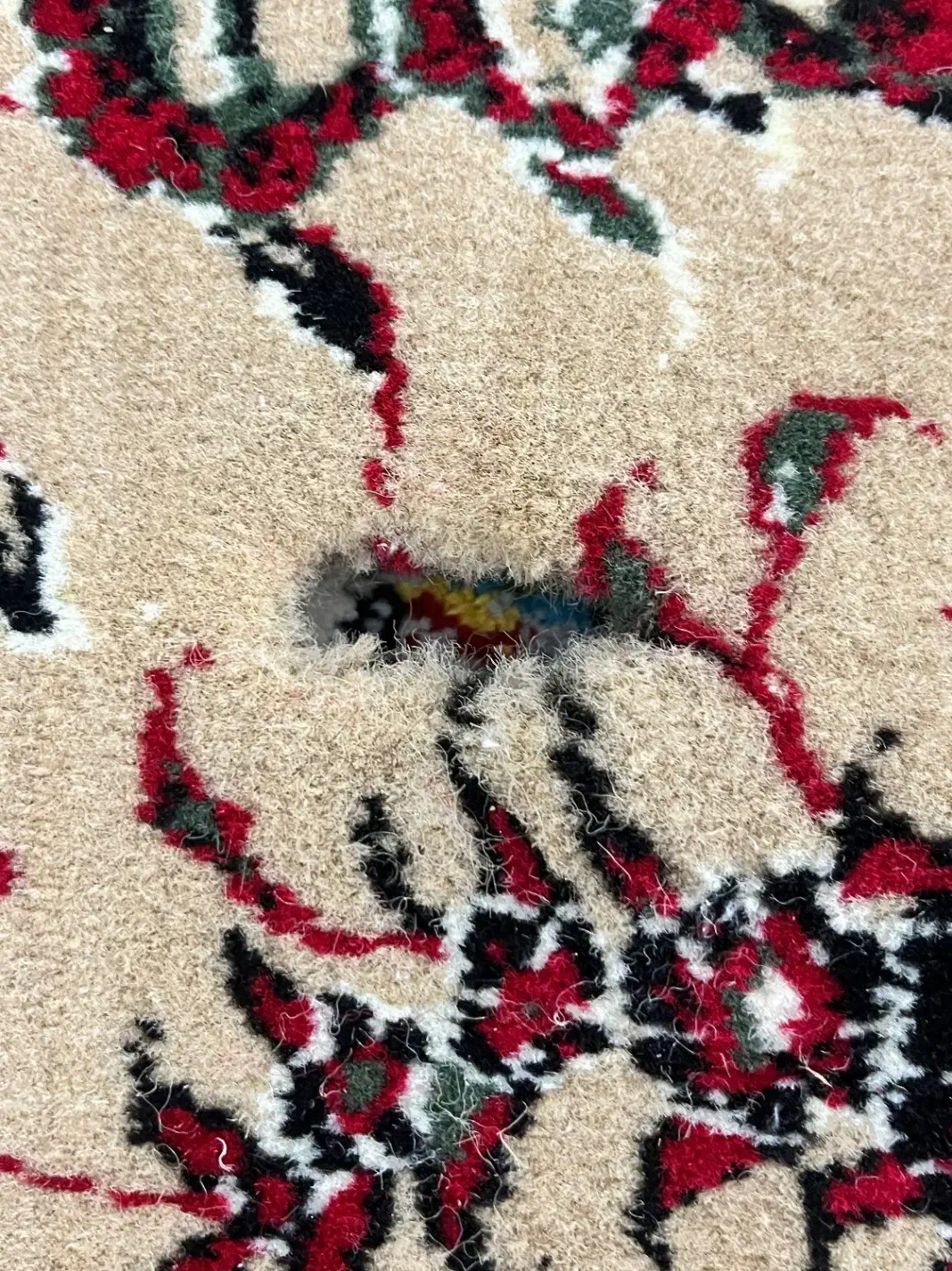 فروش قالی|فرش|اهواز, دغاغله|دیوار