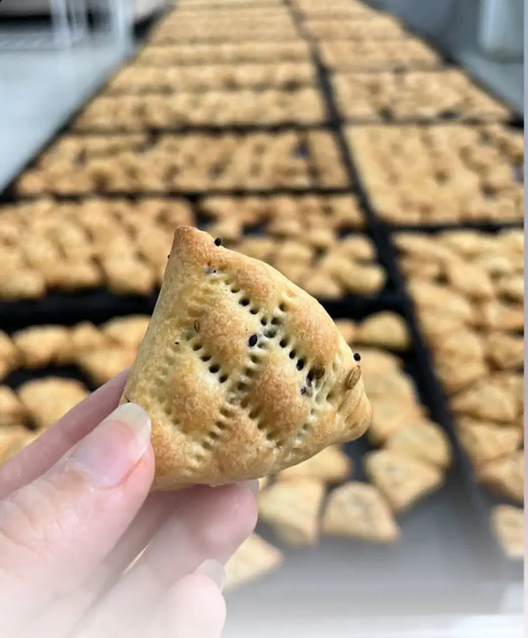 کلوچه خرمایی|خوردنی و آشامیدنی|شاهینشهر, عطار|دیوار