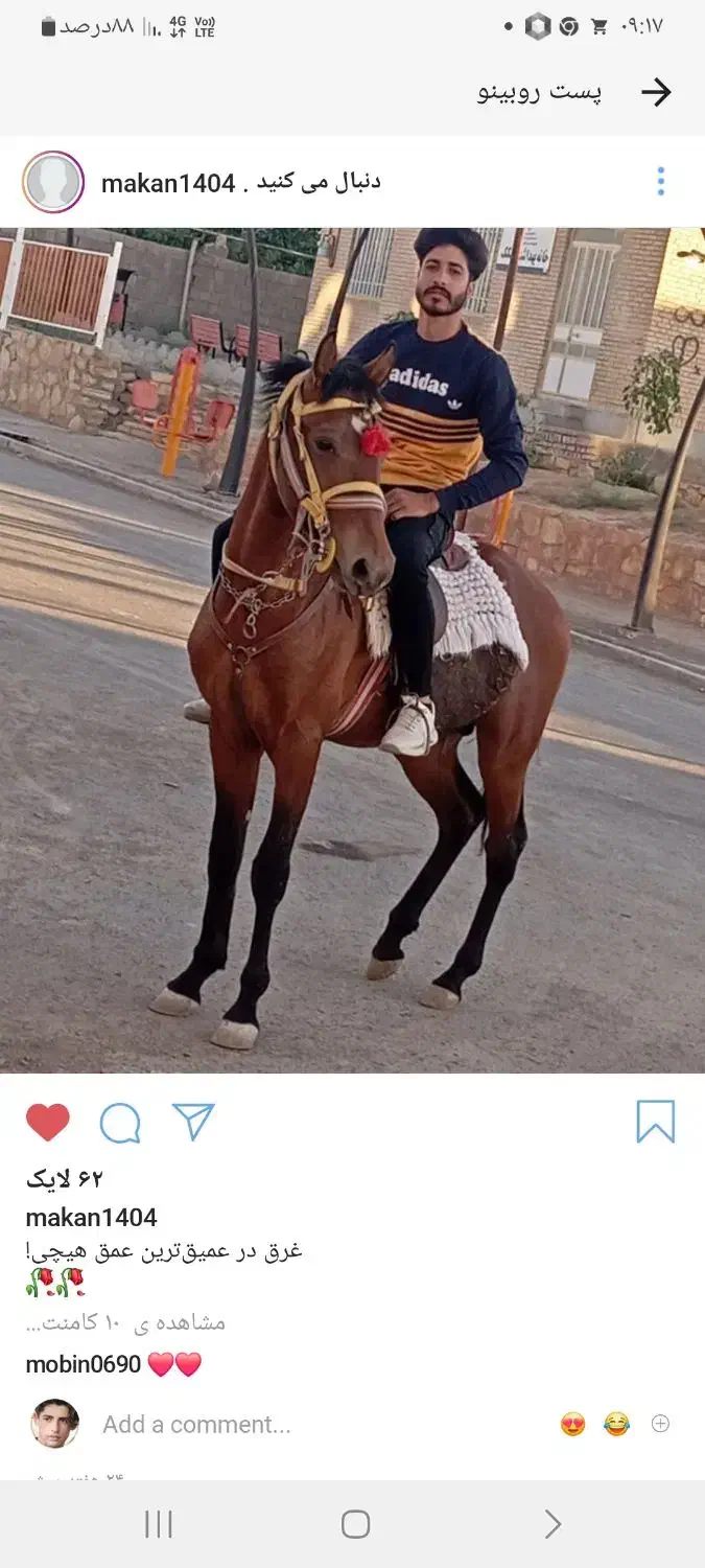 کره اسب ۲سال نرون خوشتیپ|اسب و تجهیزات اسبسواری|تربتحیدریه, بازار|دیوار