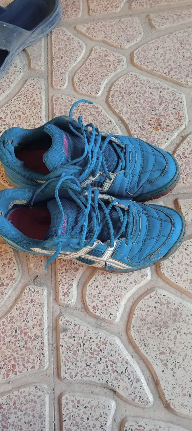 کتونی اسیکس سالنی|کیف، کفش، کمربند|ورامین, ورامین|دیوار