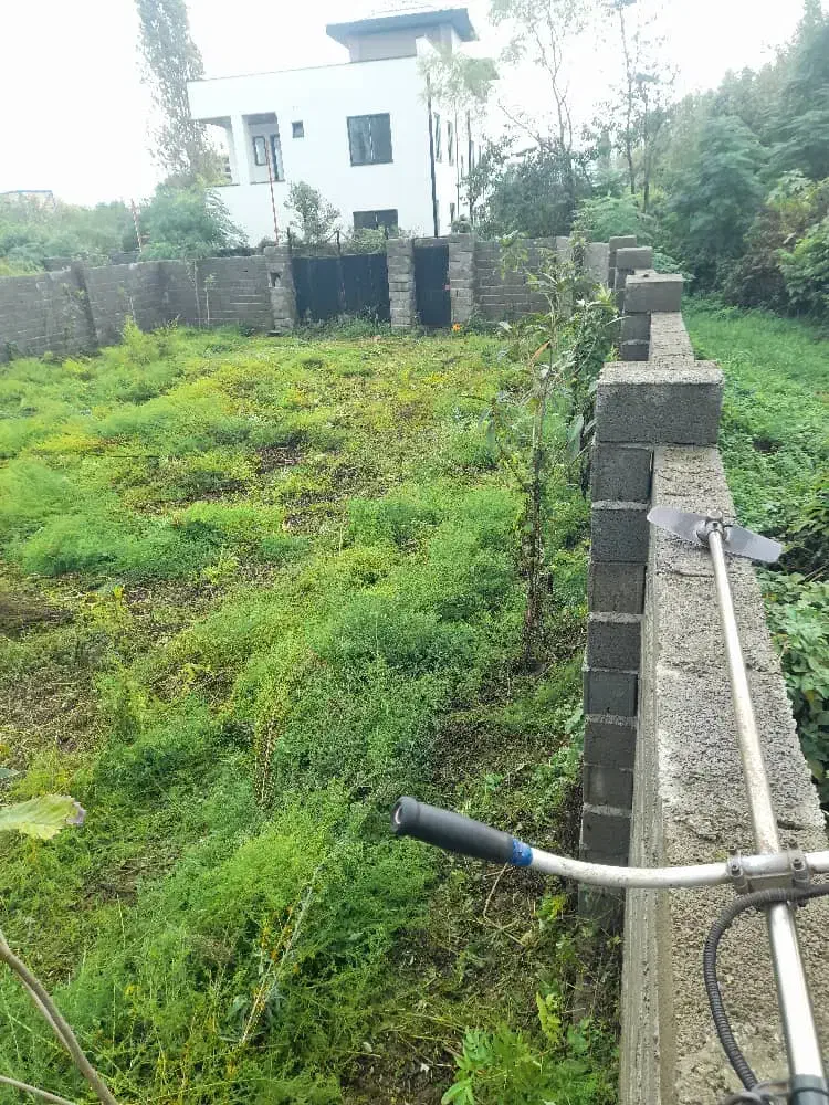 زمین ۴۰۰ متری نزدیک بحر خیابان اصلی تنکابن|فروش زمین و ملک کلنگی|شیرود, |دیوار