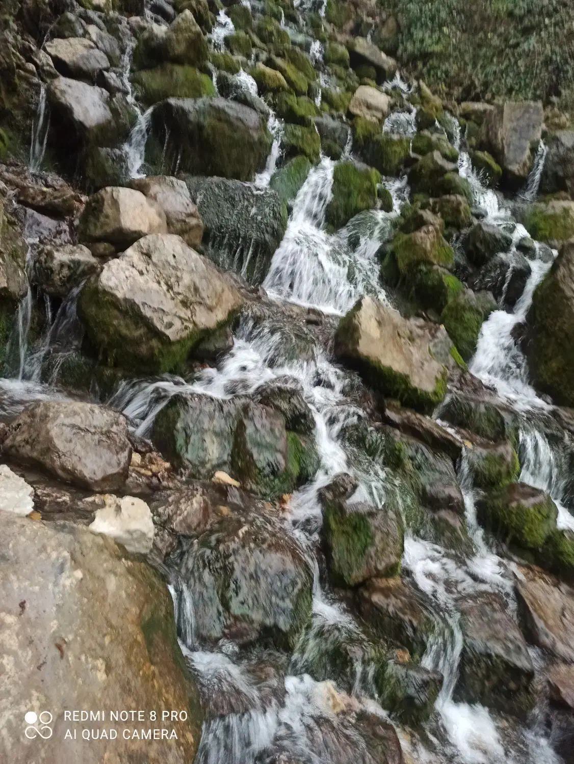 تور تفریحی رایگان|تور و چارتر|بابلسر, |دیوار