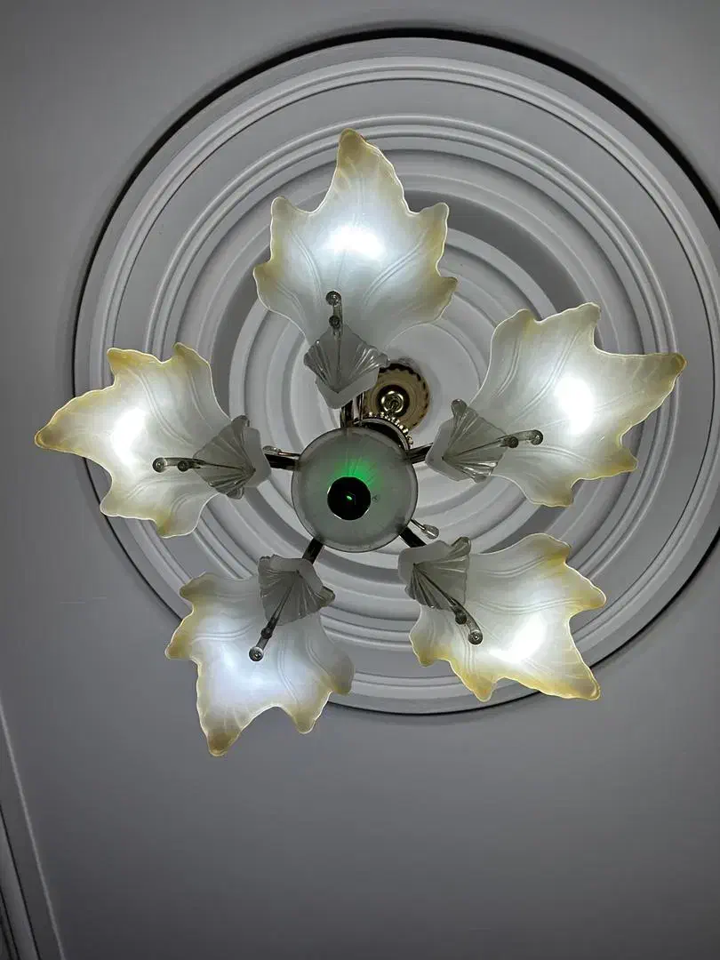 لوستر|لوستر و چراغ آویز|گنبد کاووس, |دیوار