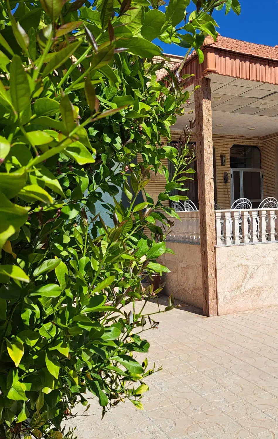 معاوضه/فروش خانه بزرگ مرکز شهر|فروش خانه و ویلا|جهرم, |دیوار