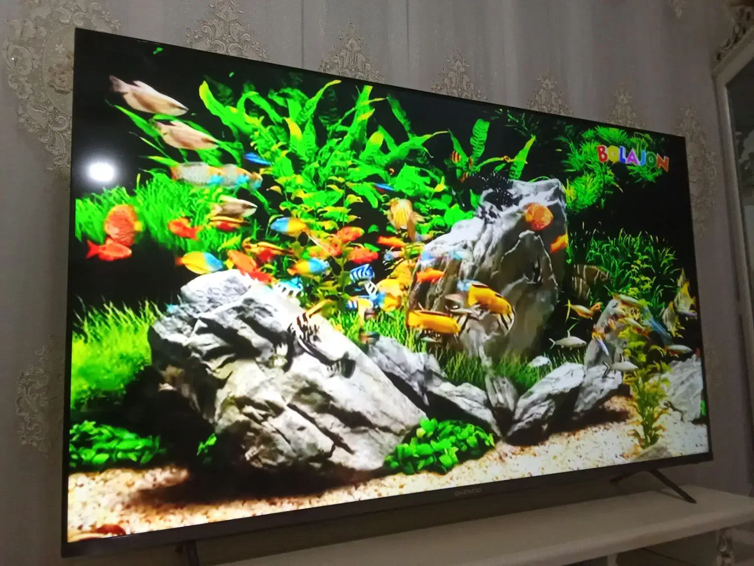 نصب آنتن|خدمات پیشه و مهارت|شیروان (خراسان), |دیوار