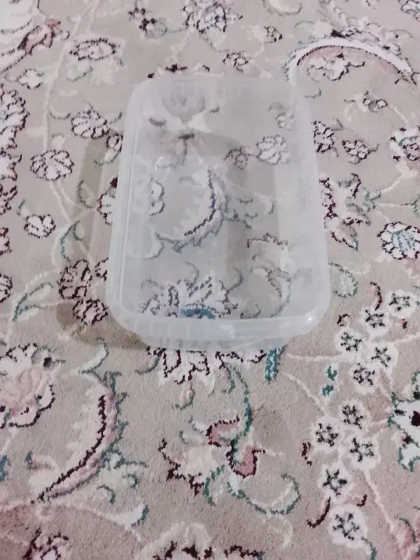 ظرف یکبارمصرف درب دارمایکروویوی|ظروف نگهدارنده، پلاستیکی، یکبارمصرف|قدس, شهرقدس|دیوار