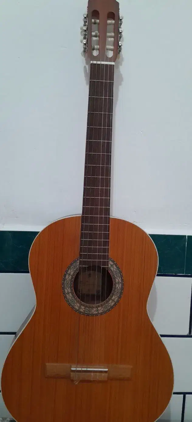 فروش گیتار نو و تمیز|گیتار، بیس، امپلیفایر|دزفول, |دیوار